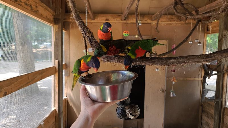 You can meet more than just kangaroos You can meet more than just kangaroos
