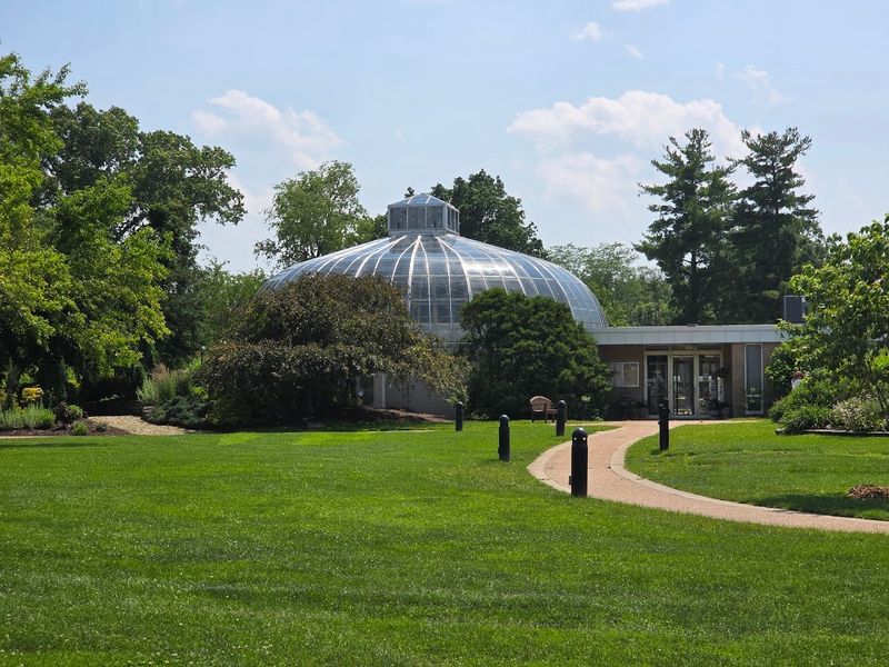 The Glass Dome That Changes the Mood Instantly The Glass Dome That Changes the Mood Instantly