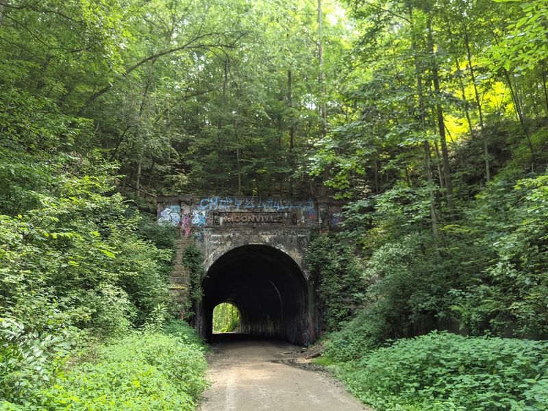 Zaleski State Forest - Vinton County