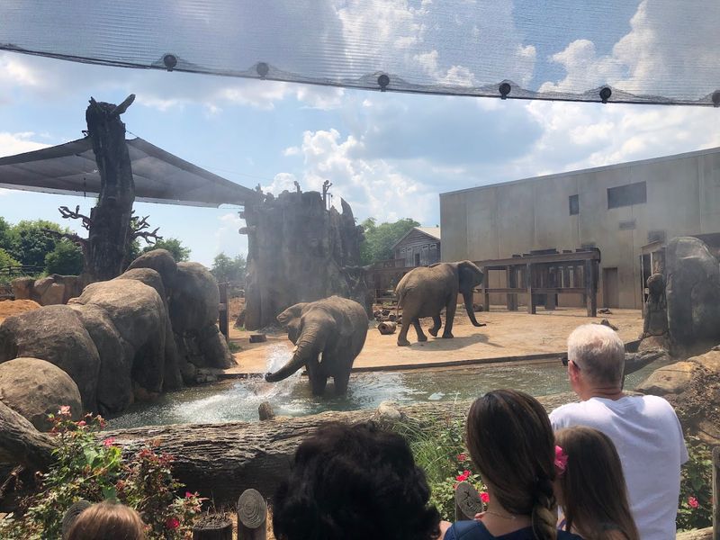 Zoo Knoxville – Knoxville