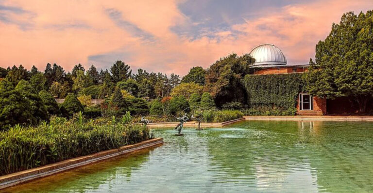A Bloomfield Hills Science Museum In Michigan Has A T. Rex, Live Bats, And A 319-Acre Campus