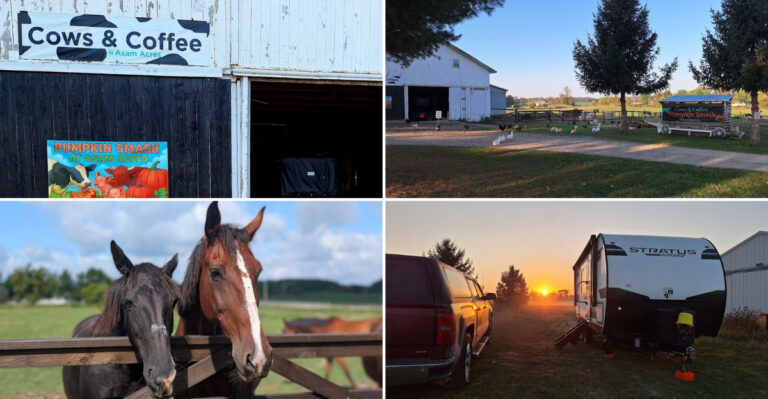 A Charming Cow-Themed Coffee Stop In Michigan Makes Mornings Feel Better