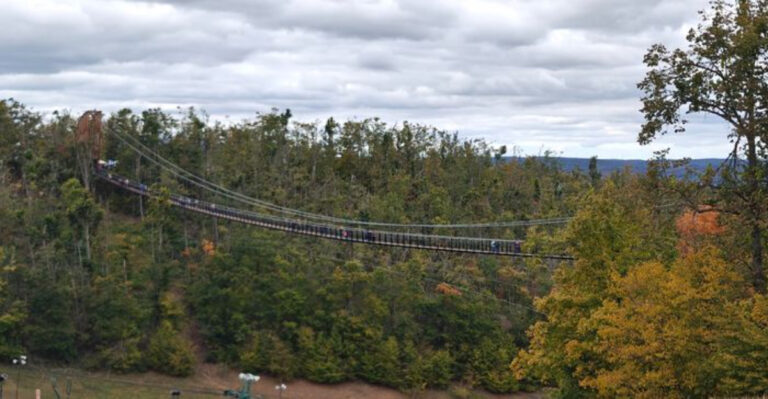 A Walk Across This Michigan Suspension Bridge Comes With Sweeping Valley Views