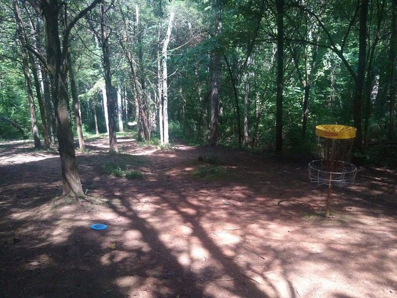 Disc Golf Course Attracts Players Of All Abilities Disc Golf Course Attracts Players Of All Abilities