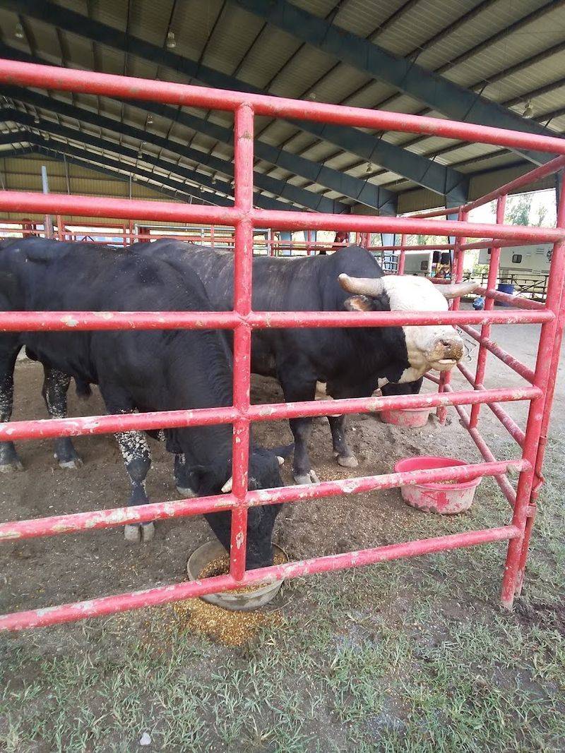 Athens (McMinn County Fair) Athens (McMinn County Fair)