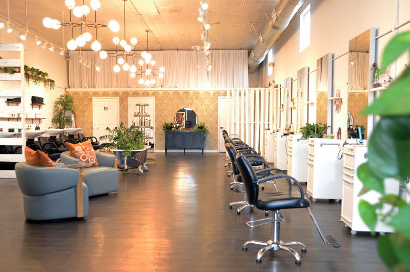 Dandelion Salon