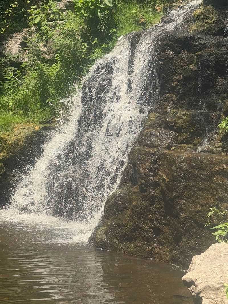 Clear Water, Quiet Corners, and the Unexpected Wildlife Factor