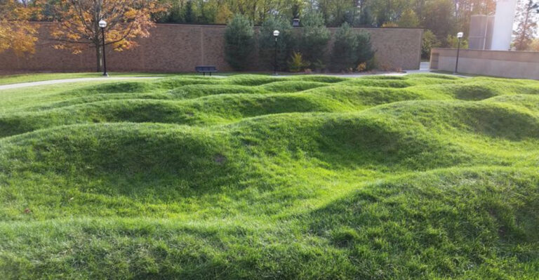 Dusk Turns Ann Arbor’s Landscape Into A Playground Of Light And Motion