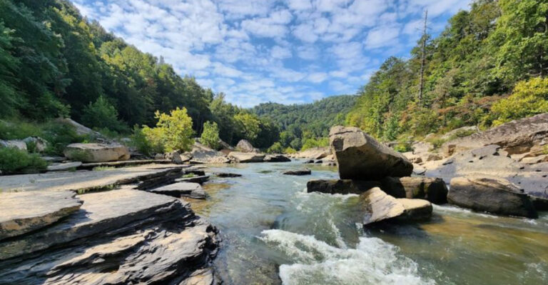 Enjoy These 11 Tennessee Adventures Without Forgetting Tick Protection