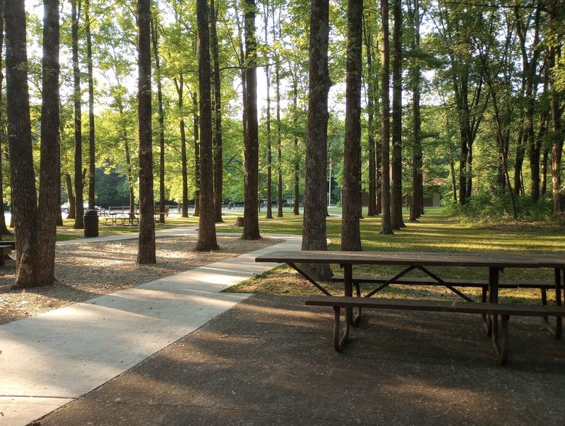 Beall Woods State Park (Mount Carmel)