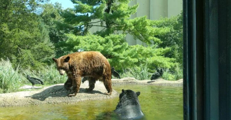 Escape To This Gorgeous Pennsylvania Oasis To Experience America’s Most Majestic Animals Up Close This Summer