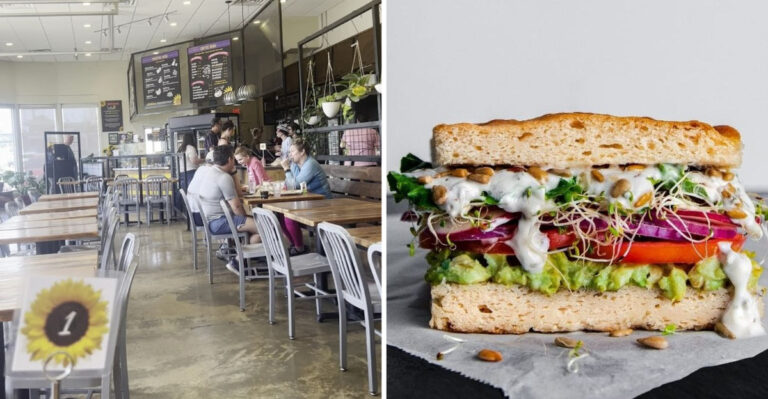 Even Non-Vegans Love The Pastries At This Popular Tennessee Bakery