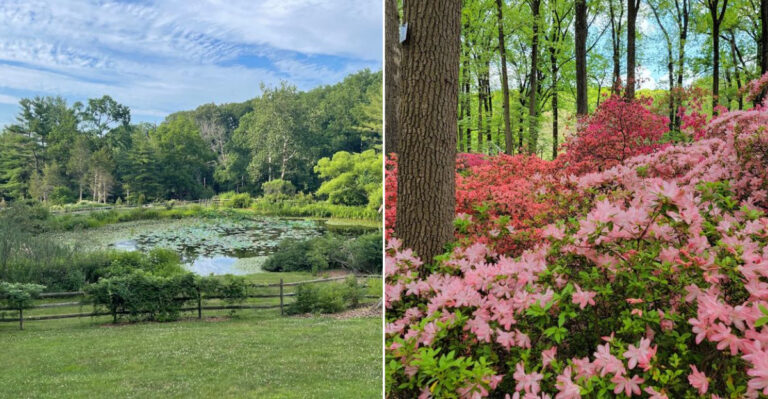 Explore The Pennsylvania Botanical Garden That Deserves Far More Attention Than It Gets