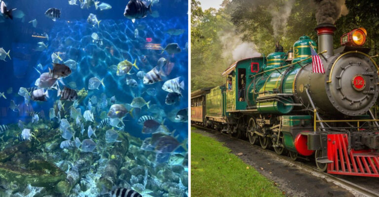 Family Fun Comes Naturally at These 9 Beautiful North Carolina Summer Destinations