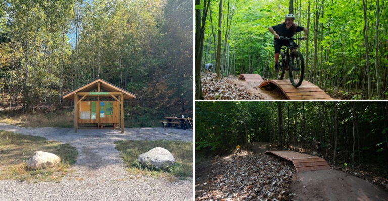 Forest Flow And Lake Views Make This Michigan Trail System A Rider Favorite