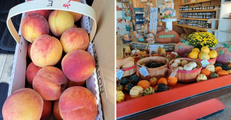 Fresh Missouri Peaches And Roadside Charm Await At This Orchard Stand