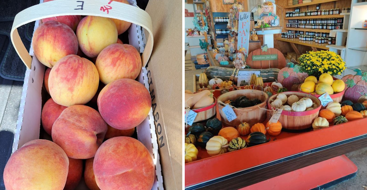 Fresh Missouri Peaches And Roadside Charm Await At This Orchard Stand