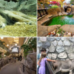Get Closer To The Animals Than Ever At This Lansing Family Favorite