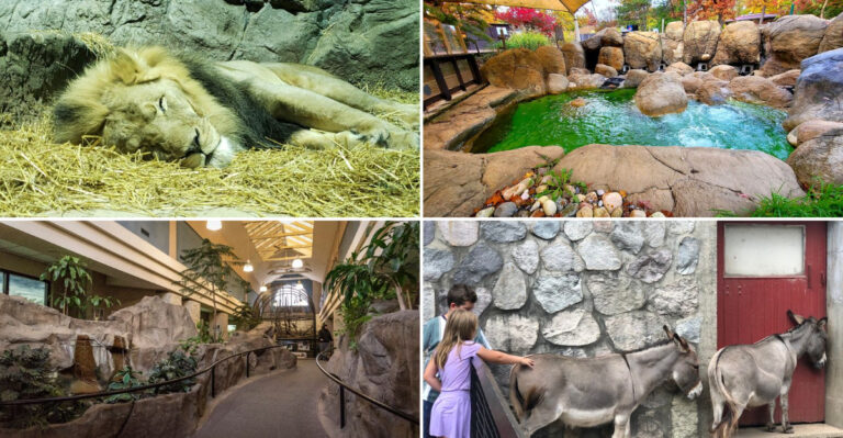 Get Closer To The Animals Than Ever At This Lansing Family Favorite