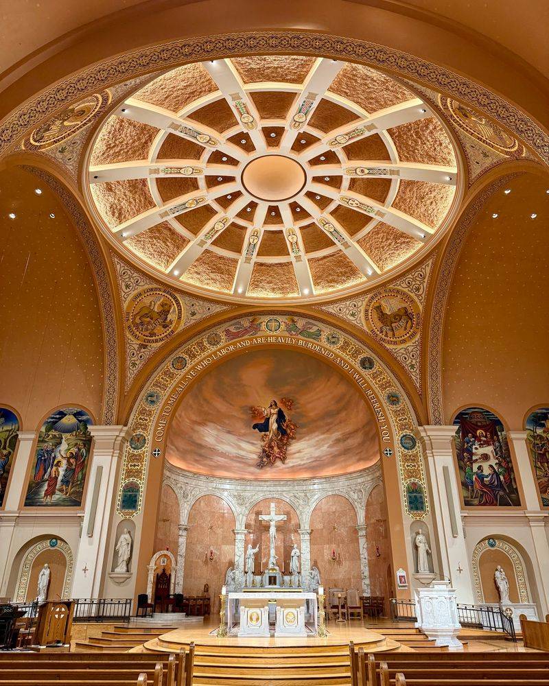 Cathedral of the Immaculate Conception Cathedral of the Immaculate Conception