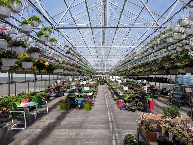 Selmi's Greenhouse & Family Farm (Rock Falls)