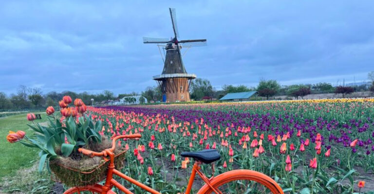 Holland’s Famous Windmill Garden Is One of Michigan’s Most Photogenic Escapes