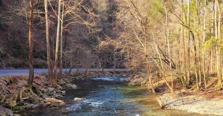 If You Love Haunted Legends, These Tennessee Roads Belong On Your Bucket List
