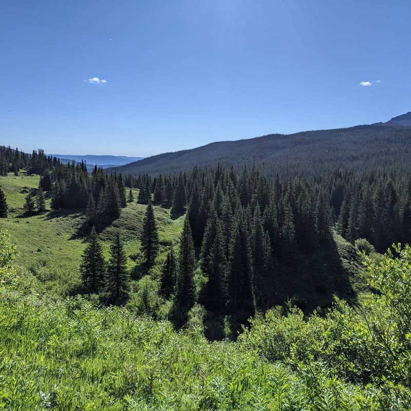 Yampa Yampa