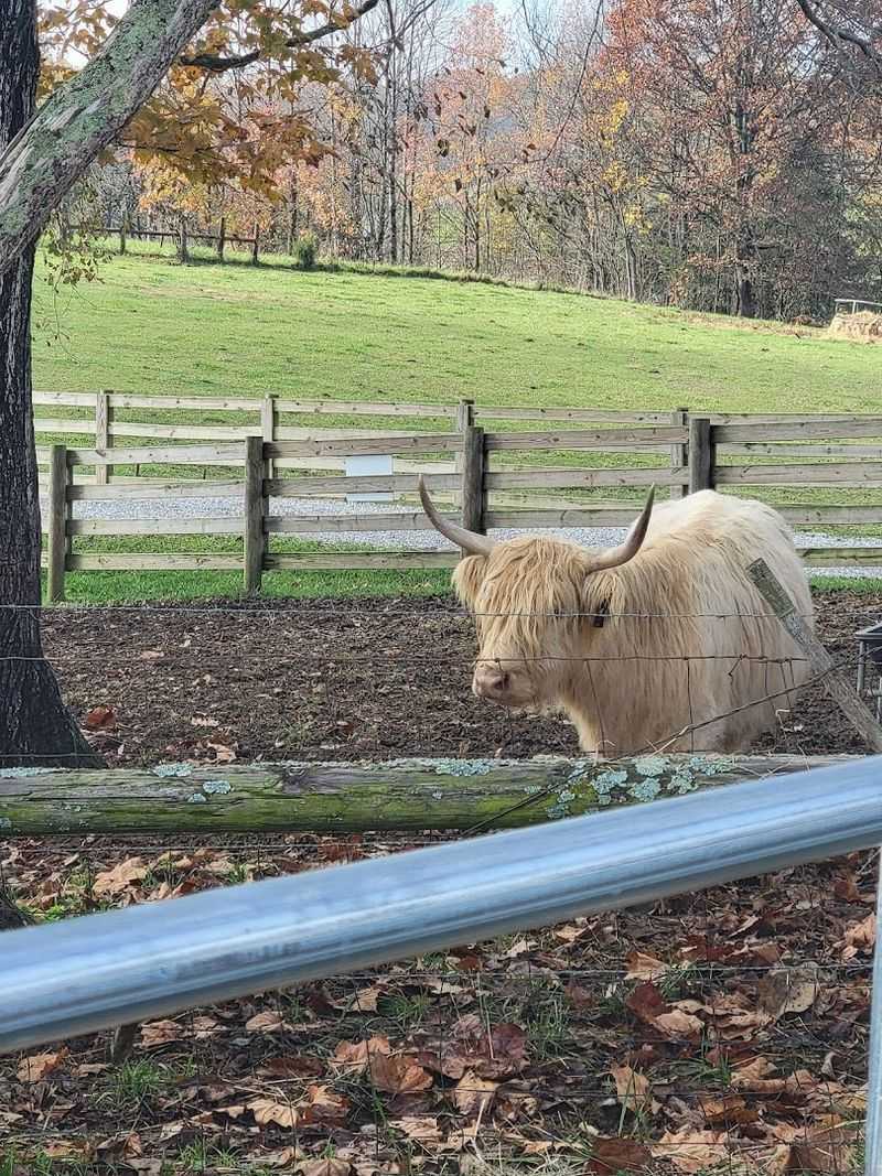 A Countryside Escape Just Minutes From Cookeville A Countryside Escape Just Minutes From Cookeville