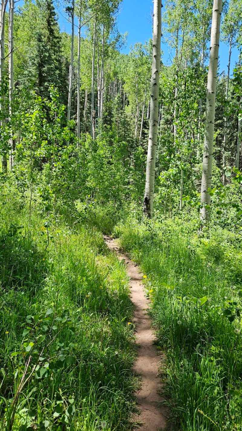 A Colorado Hike With Clues Along the Way A Colorado Hike With Clues Along the Way