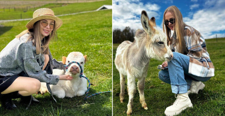Meet Fluffy Highland Cows At This Pennsylvania Farm Perfect For Cozy Country Visits
