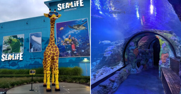Michigan’s Only Walk-Through Underwater Tunnel Makes This Aquarium Worth The Trip