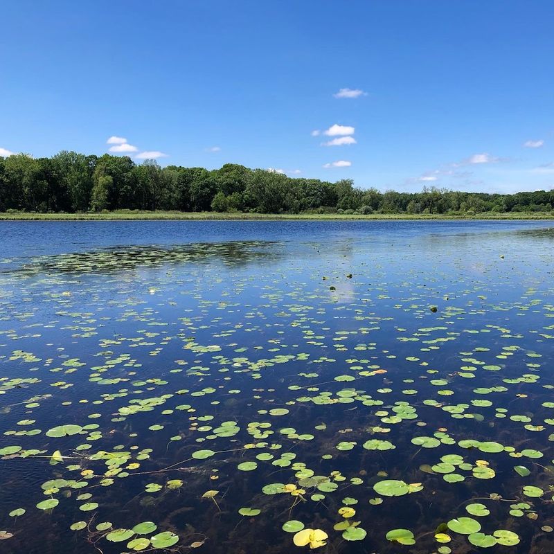 Moraine Hills State Park