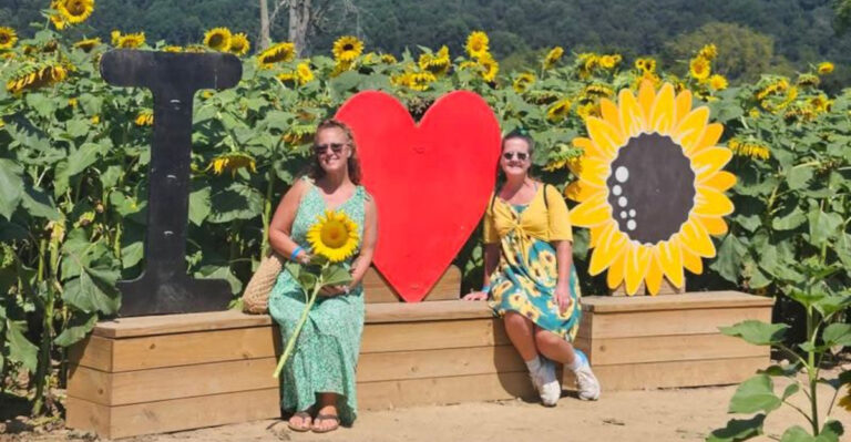 More Than 100,000 Sunflowers Are Blooming at This New Jersey Farm