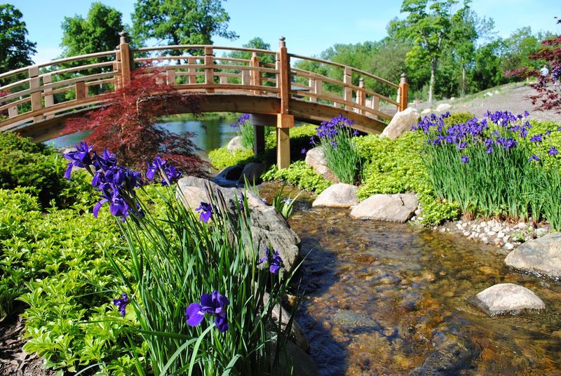 The Japanese Garden Brings Precision, Not Flash The Japanese Garden Brings Precision, Not Flash