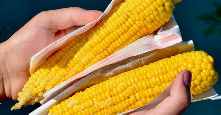 New Jersey Locals Wait All Year for the Sweet Corn at This Family Farm Stand