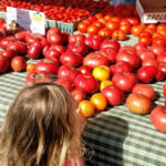 New Jersey’s 10 Best Farmers Markets For Fresh Produce, Baked Goods And Local Flavor