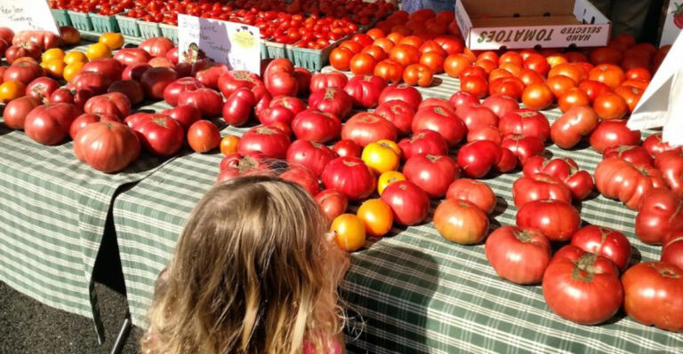 New Jersey’s 10 Best Farmers Markets For Fresh Produce, Baked Goods And Local Flavor