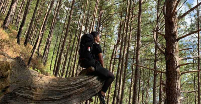New Jersey’s 13 Most Otherworldly Hiking Trails