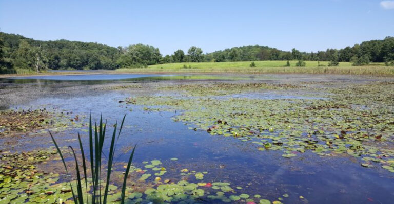 New Jersey’s Deepest Natural Lake Hides Inside This Quiet State Park