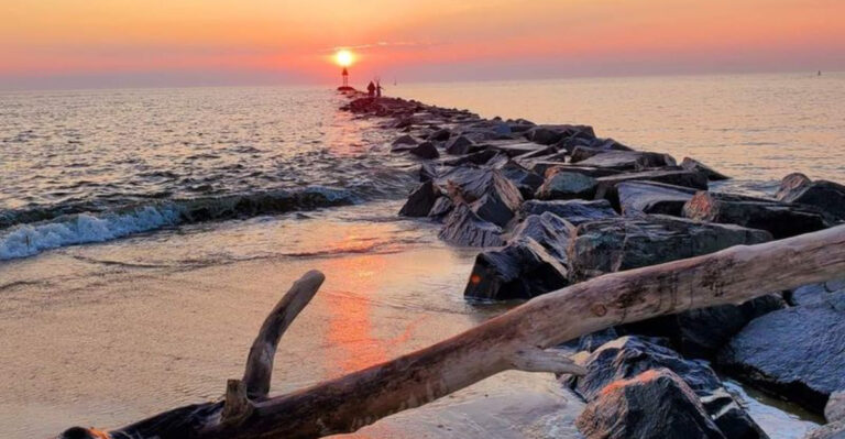 New Jersey’s Last Wild Beach Feels Like the Edge of the World