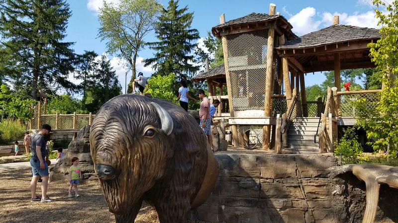 Where the Playground Looks More Like a Mini Wilderness Where the Playground Looks More Like a Mini Wilderness