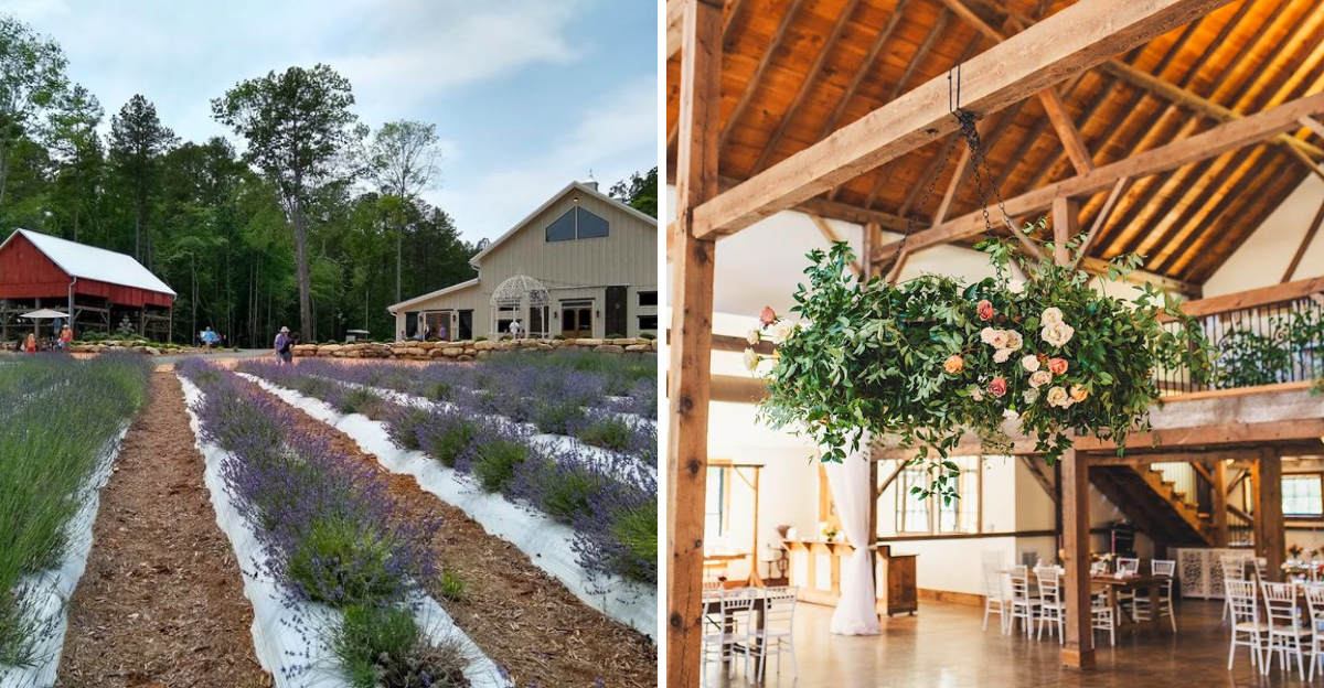 North Carolina Is Home to a 60-Acre Lavender Farm That Feels Like Provence