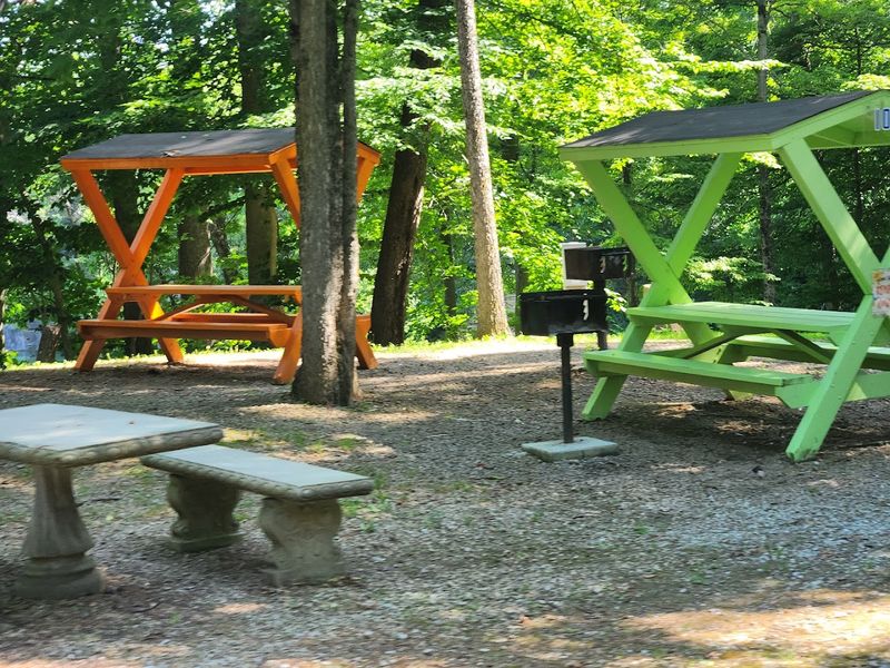 Beyond the Waterline, There Is a Full Campground Here Beyond the Waterline, There Is a Full Campground Here