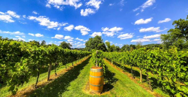 Ohio Is Home To A Breathtaking Place That Feels Straight Out Of Tuscany