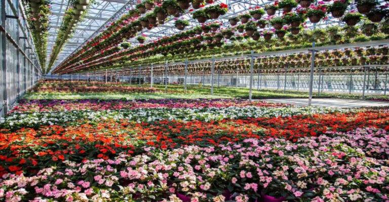 Ohio’s Most Charming Greenhouse Turns Plant Shopping Into An All-Afternoon Escape