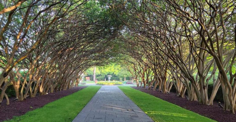 One of Texas’ Largest Botanical Gardens Feels Like a World of Its Own