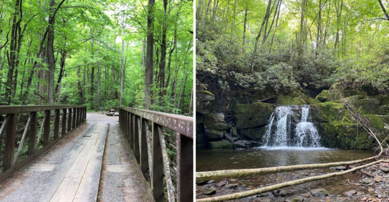 One Of The Smokies’, Tennessee Most Scenic Hikes Follows Beautiful Cascades Almost The Whole Way