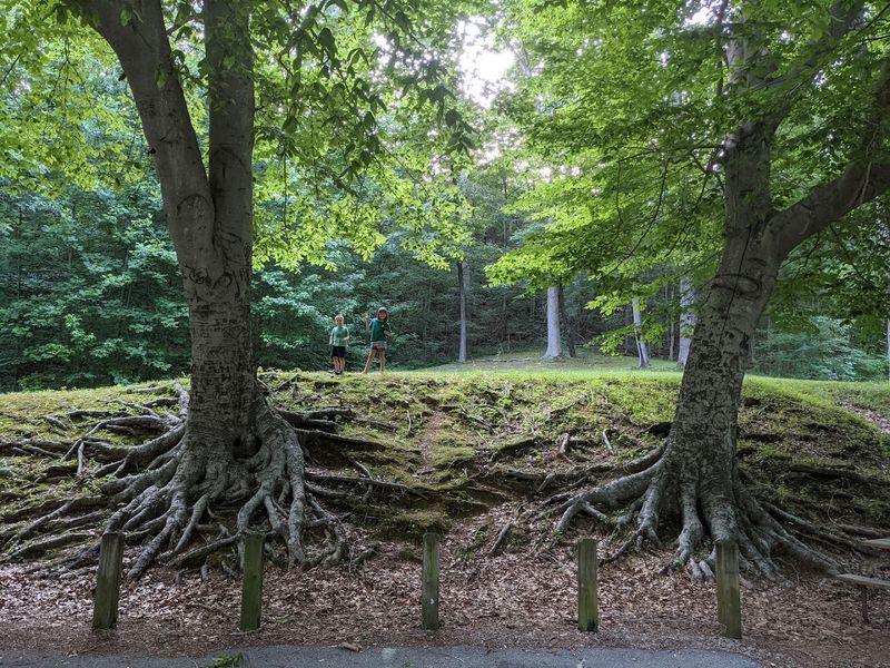 Dixon Springs State Park