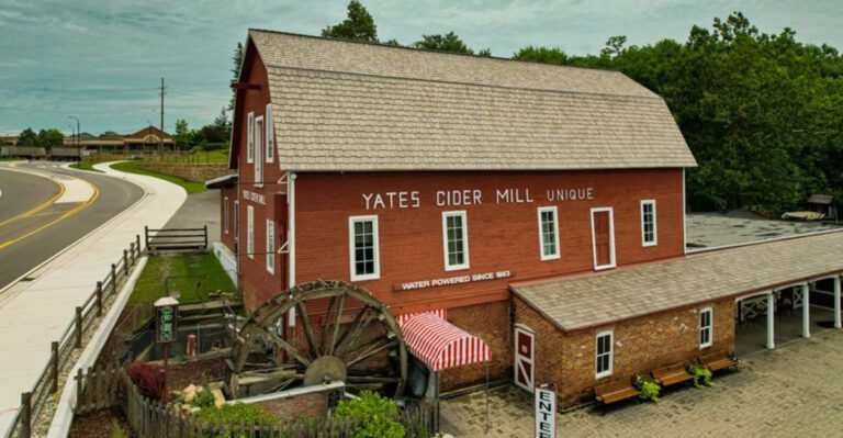 People Drive Across Michigan For The Warm Apple Cider Donuts At This Orchard
